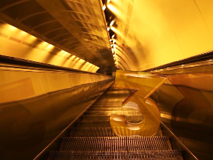 Наши шетачи – Може ли дрво да постане жирафа, 4-5 