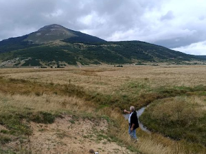 Купрес отета земља