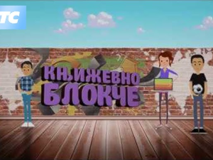 Књижевно блокче - Роман тока свести