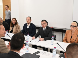 Милићевић: Стабилност и сарадња са дијаспором кључ развоја Србије