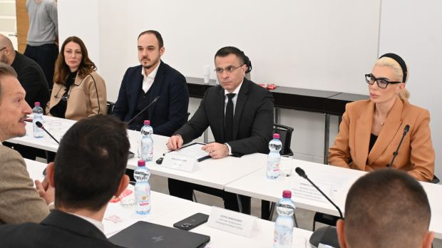 Милићевић: Стабилност и сарадња са дијаспором кључ развоја Србије