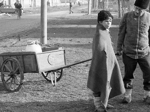 Заводљива телевизија: Салаш у Малом Риту