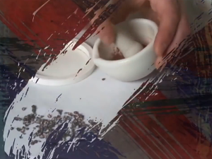 Од пигмента до концепта: Мозаик и фреска