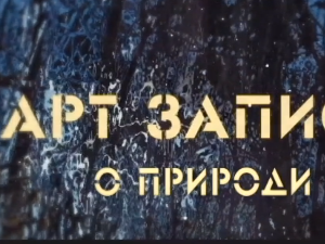 Арт записи о природи, 1. ем.