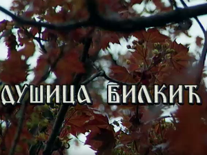 Лети, лети песмо моја мила: Постер Душице Билкић