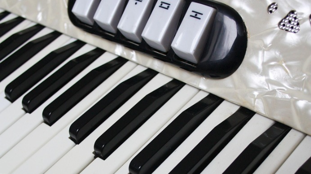 Век хармонике – Интерпретације Волфганга Диметрика