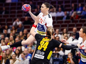 Скробић: Најгоре кад је најпотребније, ништа није функционисало