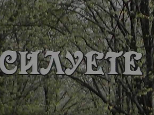 Силуете: Даница Обренић