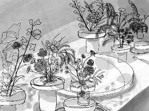 Марија Чукић