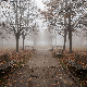 Ујутру магла, током дана облачно – температура до осам степени
