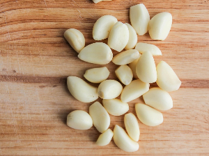 Изузетна моћ екстракта белог лука у дезинфекцији уста, ефикасан као и клиничка средства