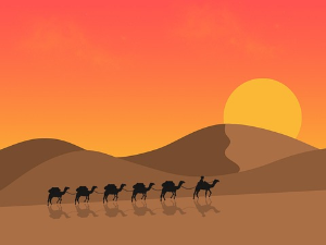 Хумористичка емисија