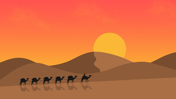 Караван: Хумористичка емисија