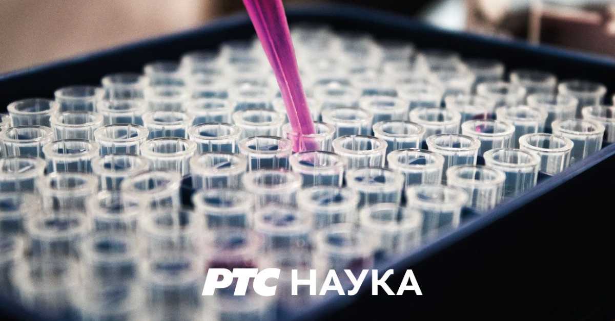 Јестива историја: Јестиви кактуси Јестива историја: Јестиви кактуси
