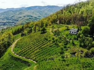 Изгуби се у природи, пронађи себе  