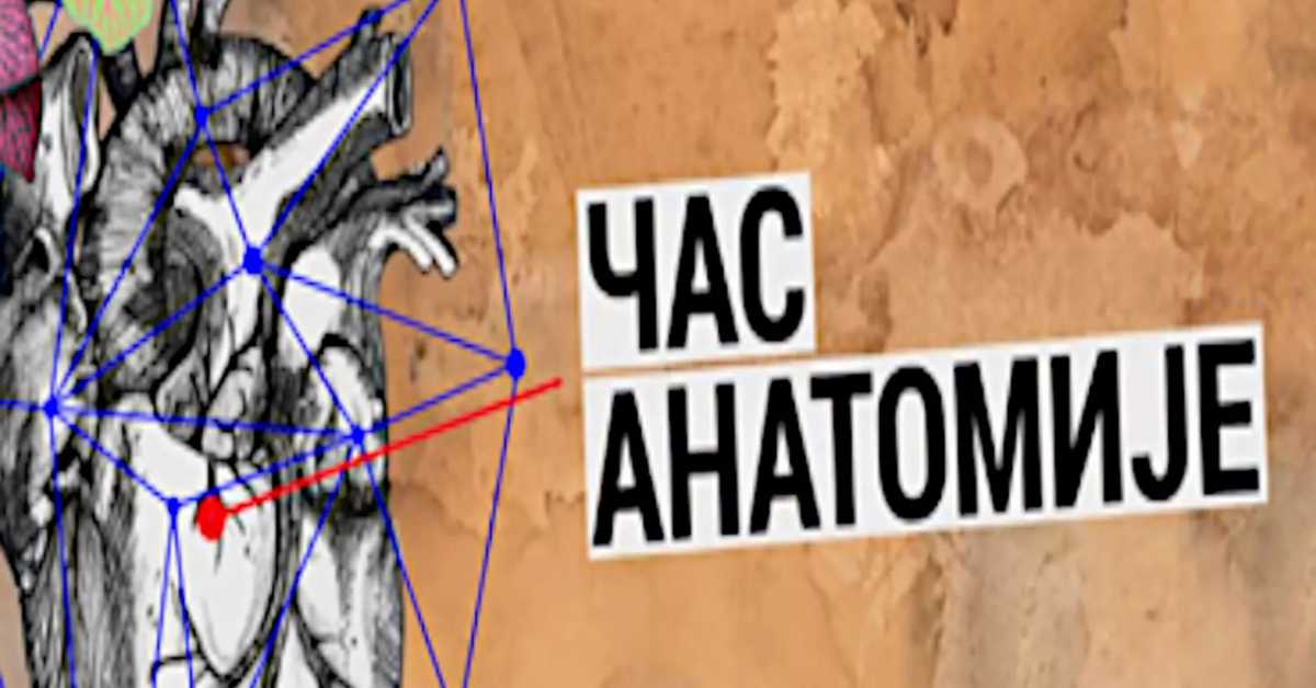 Час анатомије : Улазак у таму Час анатомије : Улазак у таму