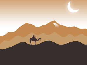 Хумористичка емисија