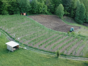 Храна јуче, данас, сутра