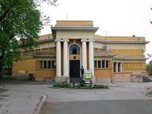 Трезор: Београдски дух заједништва