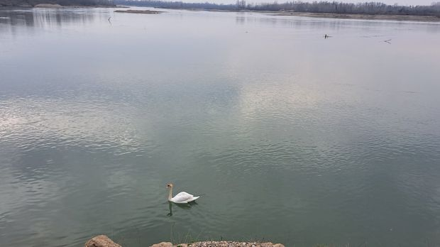 Квадратура круга: Зашто је Богатић устао Квадратура круга: Зашто је Богатић устао