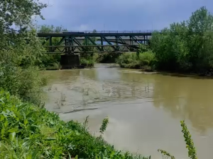 Набујали Ибар и Морава код Краљева, реке за сада у коритима