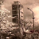 Приступачан програм: Траг – Зорка једне младости (СЗЈ)