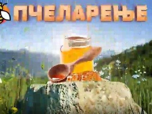 Еко минијатуре