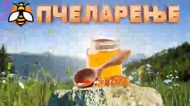 Еко минијатуре: Пчеларење