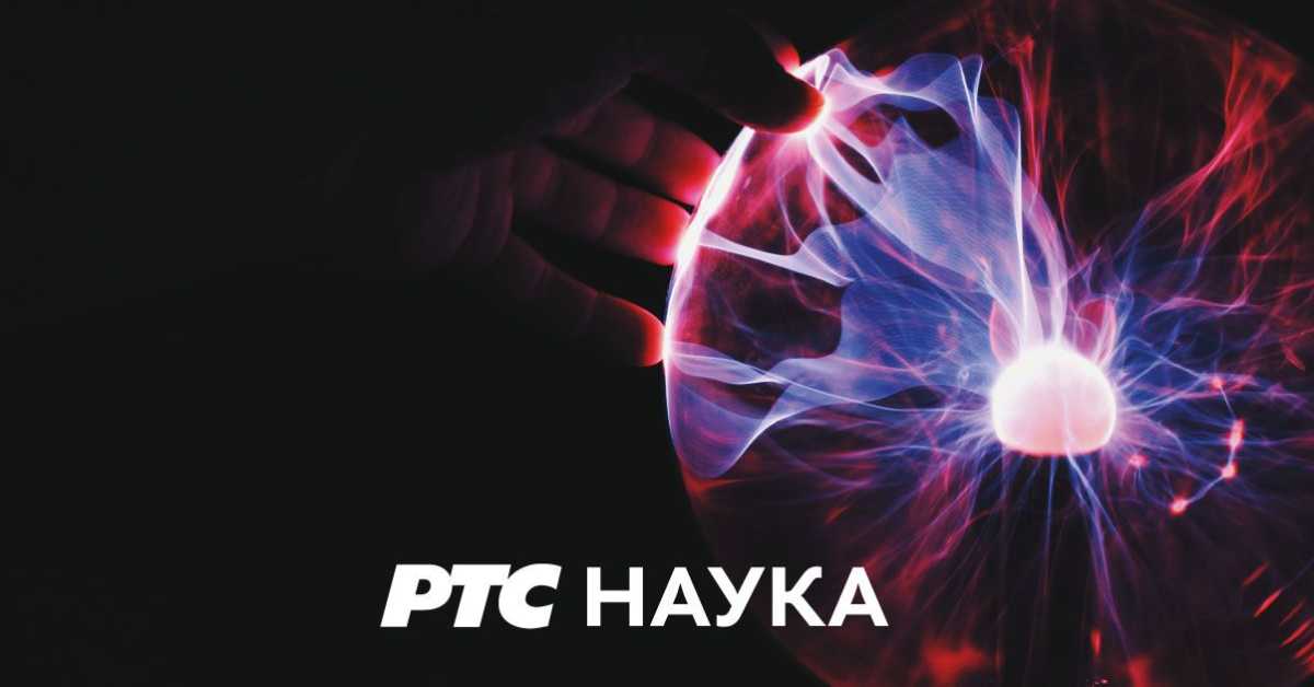 Еко перспективе: Лешник Еко перспективе: Лешник