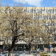 Апелациони суд у Новом Саду делимично уважио жалбу, одређен кућни притвор за троје активиста (ns.ap.sud) Апелациони суд у Новом Саду делимично уважио жалбу, одређен кућни притвор за троје активиста