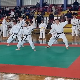 Прокупље - град борилачких вештина