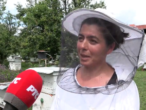 Како је једна пчеларка из Лесковца сачувала своје пчеле