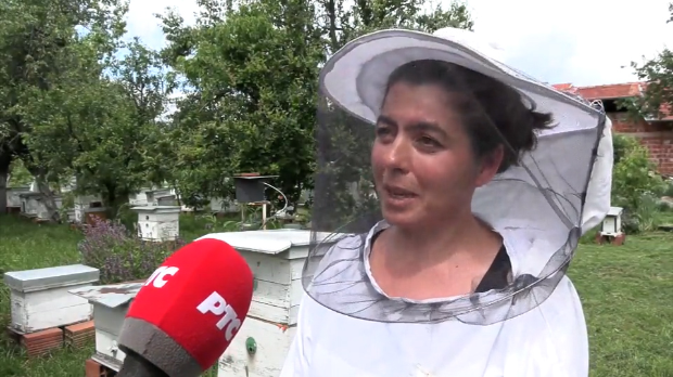 Како је једна пчеларка из Лесковца сачувала своје пчеле