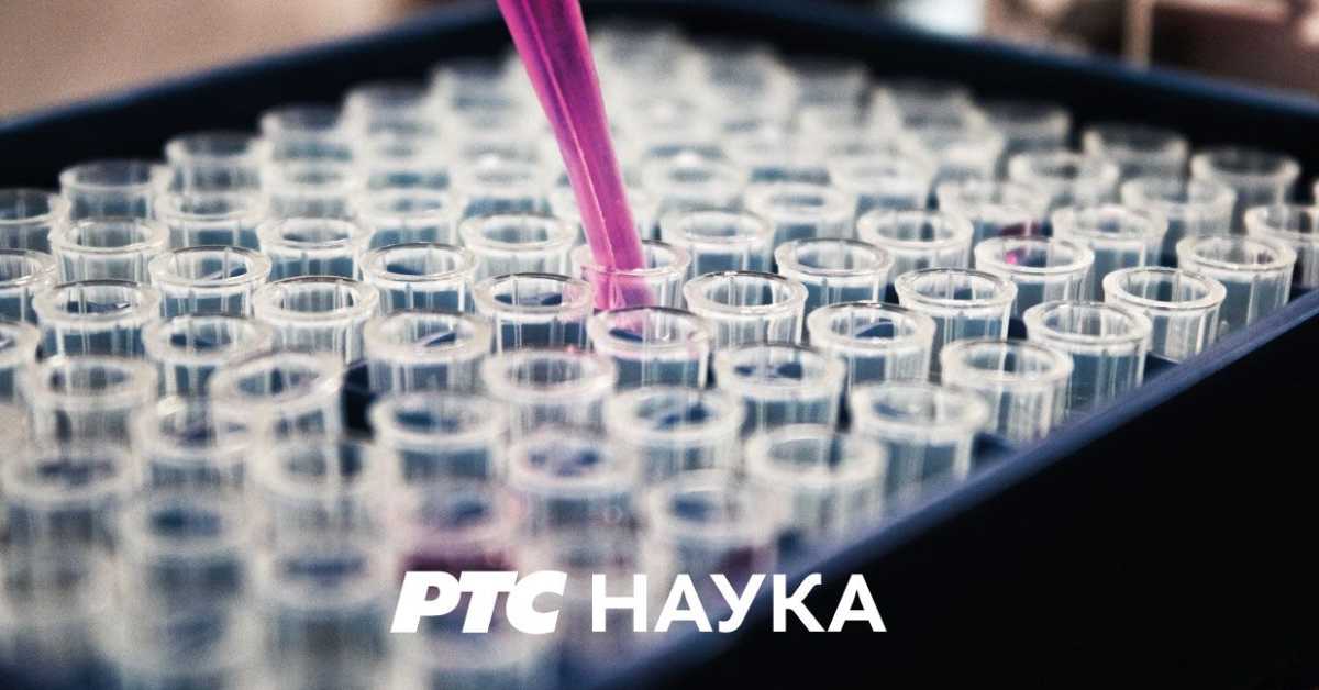 Ја, ми и други: Демократија у школи Ја, ми и други: Демократија у школи