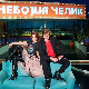Небојша Челик – Како преживети модерна времена:	Узори и идоли