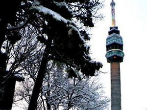 Трезор: У музеју Авалског торња