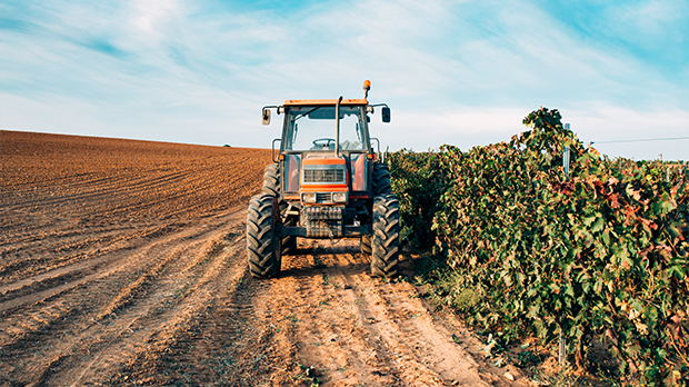 Нова стратегија пољопривреде предвиђа враћање прехрамбеног суверенитета Србије