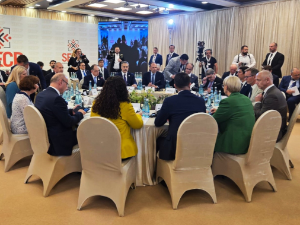 Мацут: Србија није гласала за Декларацију на Самиту СЕЕЦП у Тирани