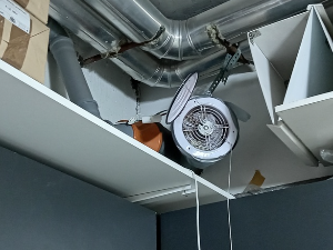 Anaerobic professor