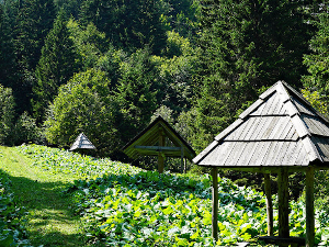 Квадови, сафари, параглајдинг... Почела летња сезона на Копаонику (N.P. Kopaonik) Квадови, сафари, параглајдинг... Почела летња сезона на Копаонику