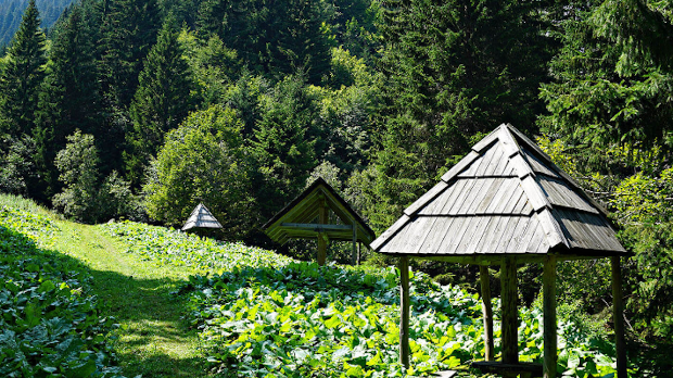 Квадови, сафари, параглајдинг... Почела летња сезона на Копаонику (N.P. Kopaonik) Квадови, сафари, параглајдинг... Почела летња сезона на Копаонику