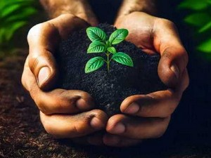 Еколошки магазин