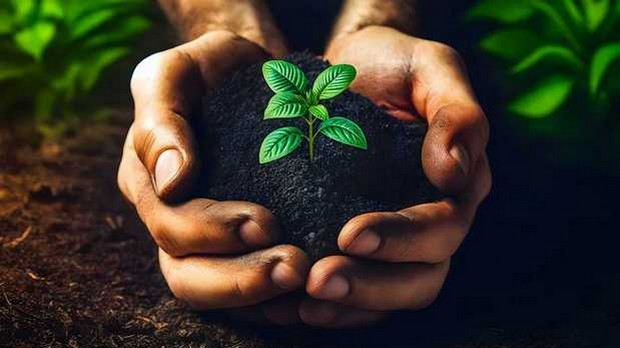 Еколошки магазин