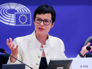 Марта Кос у Европском парламенту: Излаз из политичке кризе у Србији кроз реформе медијских и изборних закона