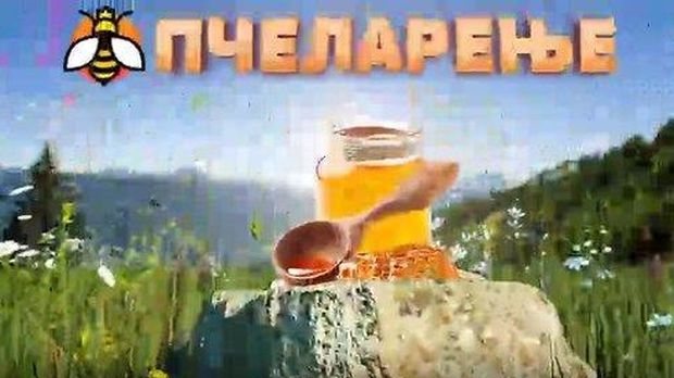 Еко минијатуре: Пчеларење - историја пчеларства