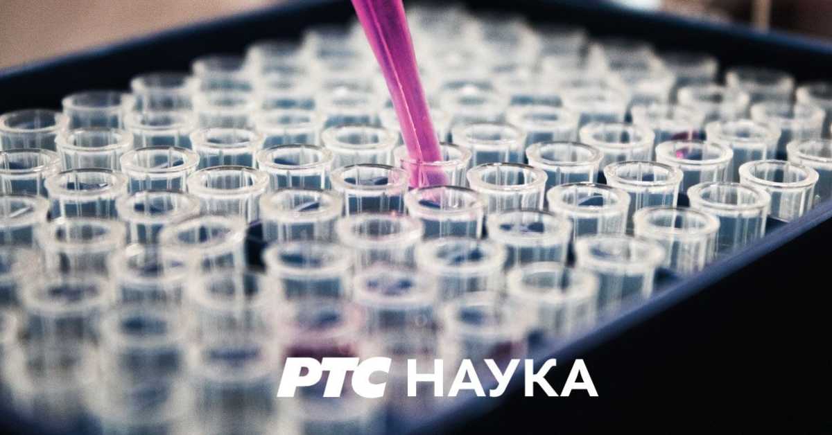 Ја, ми и други: Тоталитаризам, први део Ја, ми и други: Тоталитаризам, први део
