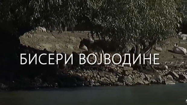 Наука у селу: Бисери Војводине (R) Наука у селу: Бисери Војводине (R)