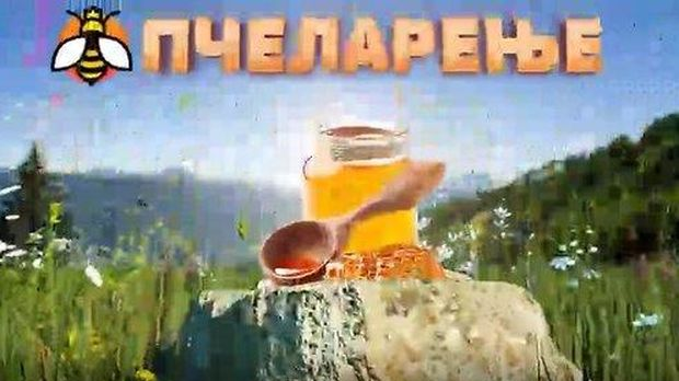 Еко минијатуре: Пчеларење = X-(Y+1,41) = добар мед