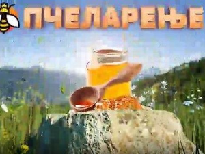 Еко минијатуре: Пчеларење = X-(Y+1,41) = добар мед
