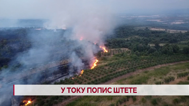 Дневник: У току попис штете
